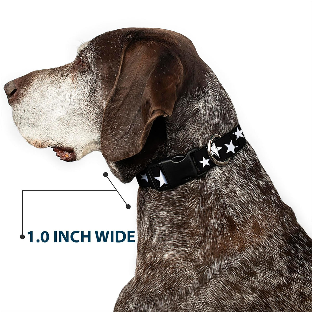Buckle-Down PC-W21909-M Dog Collar Plastic Clip Buckle, 1"x11"-17", Star Black/White - PuriLite