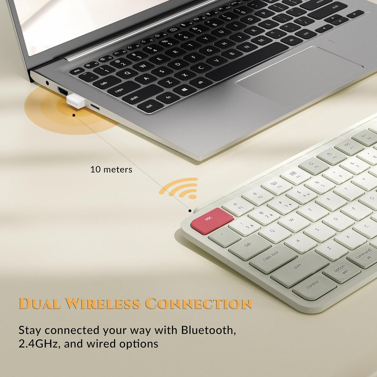 Keychron B6 Pro Quiet Key Full Size Ultra-Slim Wireless Keyboard, ZMK Programmable Bluetooth 5.1/2.4 GHz/Wired with Ultra-Long Battery Life Low Profile for Mac Win Linux System - Space Gray - PuriLite