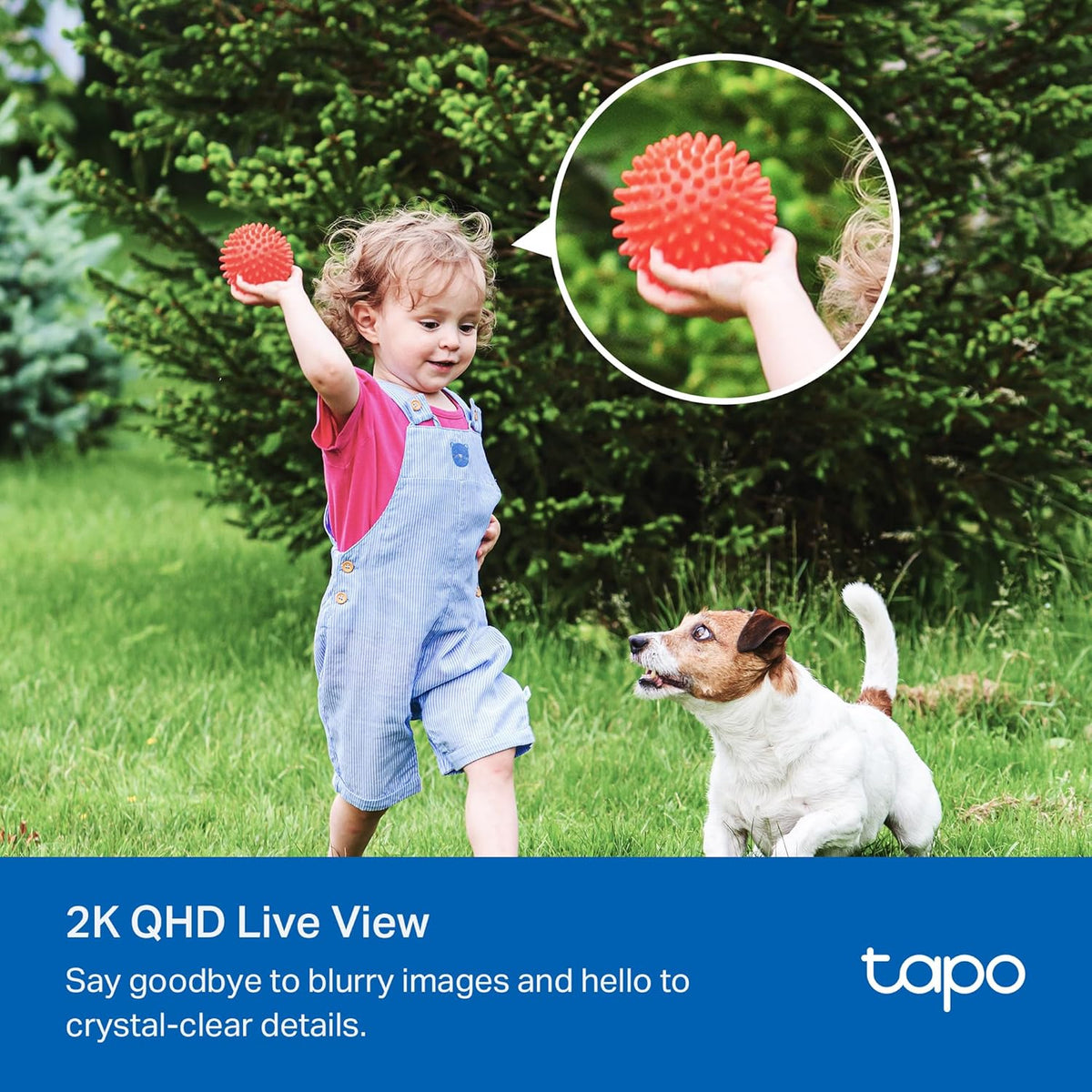 TP-Link Tapo Solar-Powered Security Camera Kit, 2K Wireless Battery Camera w/Solar Panel Base, Smart Person Detection, SD/Cloud Storage, Spotlight Color Night Vision, No Hub Needed (Tapo C410 KIT) - PuriLite