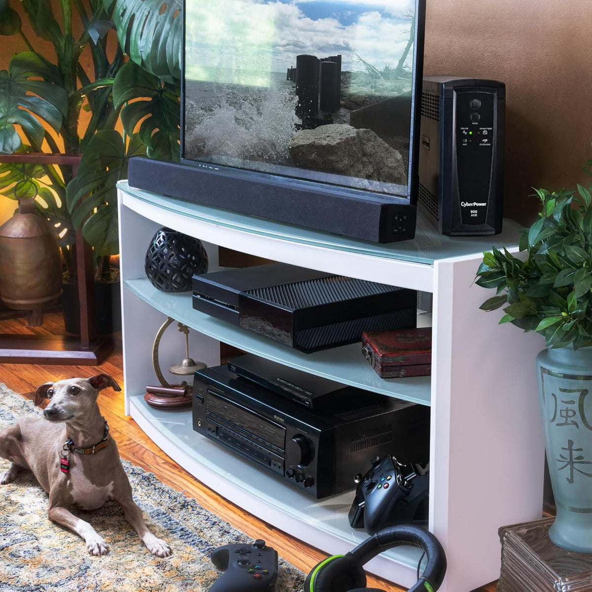 CyberPower CP685AVRG AVR UPS System, 685VA/390W, 8 Outlets, Compact - PuriLite