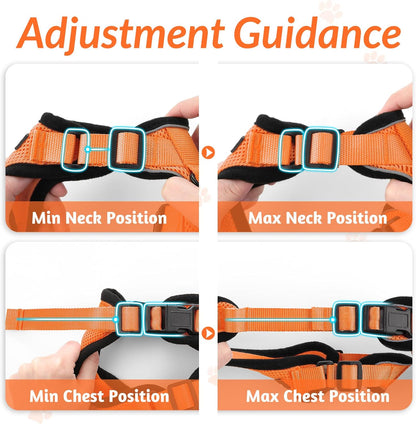 rabbitgoo Cat Harness and Leash for Walking, Escape Proof Soft Adjustable Vest Harnesses for Small Medium Cats, Easy Control Breathable Reflective Strips Jacket, XS, Black - PuriLite