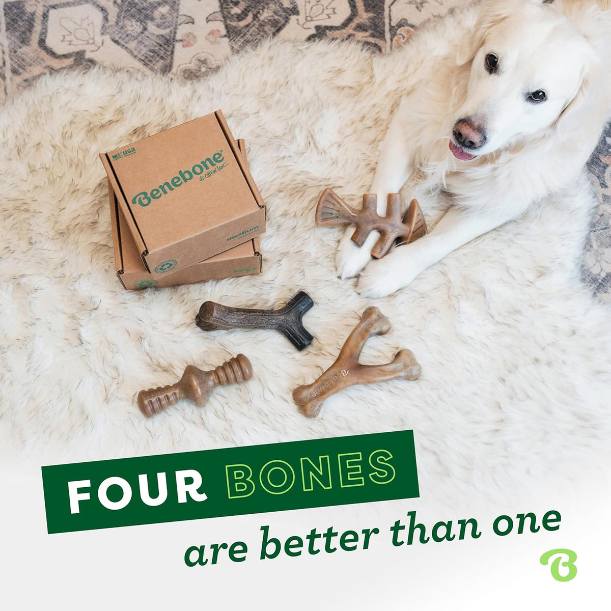 Benebone 4-Pack Durable Dog Chew Toys for Aggressive Chewers, Real Flavors, Made in USA, Medium - PuriLite