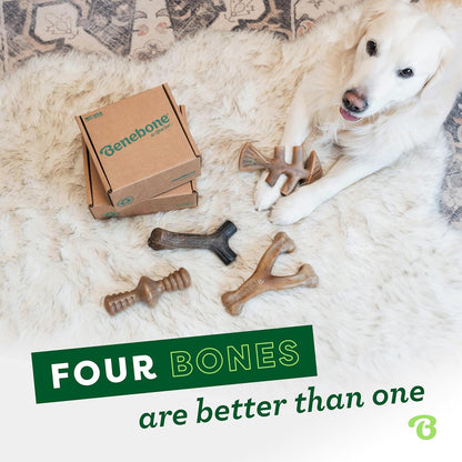 Benebone 4-Pack Durable Dog Chew Toys for Aggressive Chewers, Real Flavors, Made in USA, Medium - PuriLite