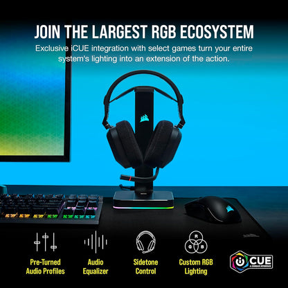 Corsair HS80 RGB USB Premium Gaming Headset with Dolby Audio 7.1 Surround Sound (Broadcast-Grade Omni-Directional Microphone, Memory Foam Earpads, High-Fidelity Sound, Durable Construction) Carbon - PuriLite