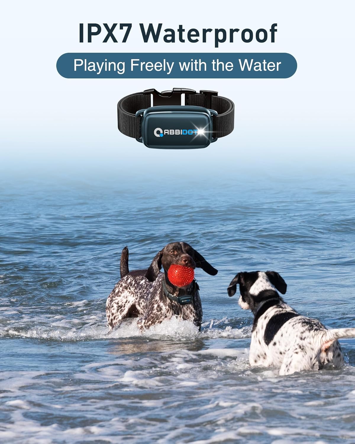 ABBIDOT 3300 Ft Dog Training Collar with Remote - [New Version] Shock Collar, 5 Training Modes, 88 Levels e Collar, Waterproof Training Collar for Small Medium Large Dogs(15~120 lbs) - PuriLite