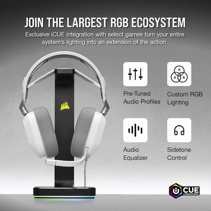 Corsair HS80 RGB USB Premium Gaming Headset with Dolby Audio 7.1 Surround Sound (Broadcast-Grade Omni-Directional Microphone, Memory Foam Earpads, High-Fidelity Sound, Durable Construction) Carbon - PuriLite