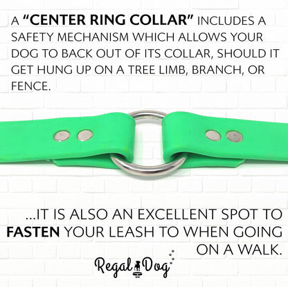 Regal Dog Products Small Orange Waterproof Dog Collar and Leash Set - Vinyl Coated, Biothane Puppy Pet Training Collar with Heavy Duty Center Ring & 5'ft Leash - Other Sizes for Medium & Large Dogs - PuriLite