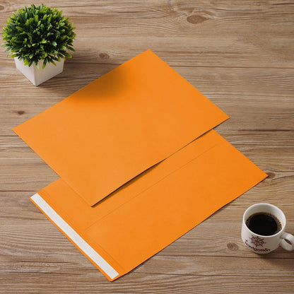 Tanshuqin 9" x 12.75" Self-Seal Catalog Envelopes 32lb Kraft Envelopes for Invitation Cards, Organizing and Storage, Pictures, Photos, Documents (100 PCS) - PuriLite