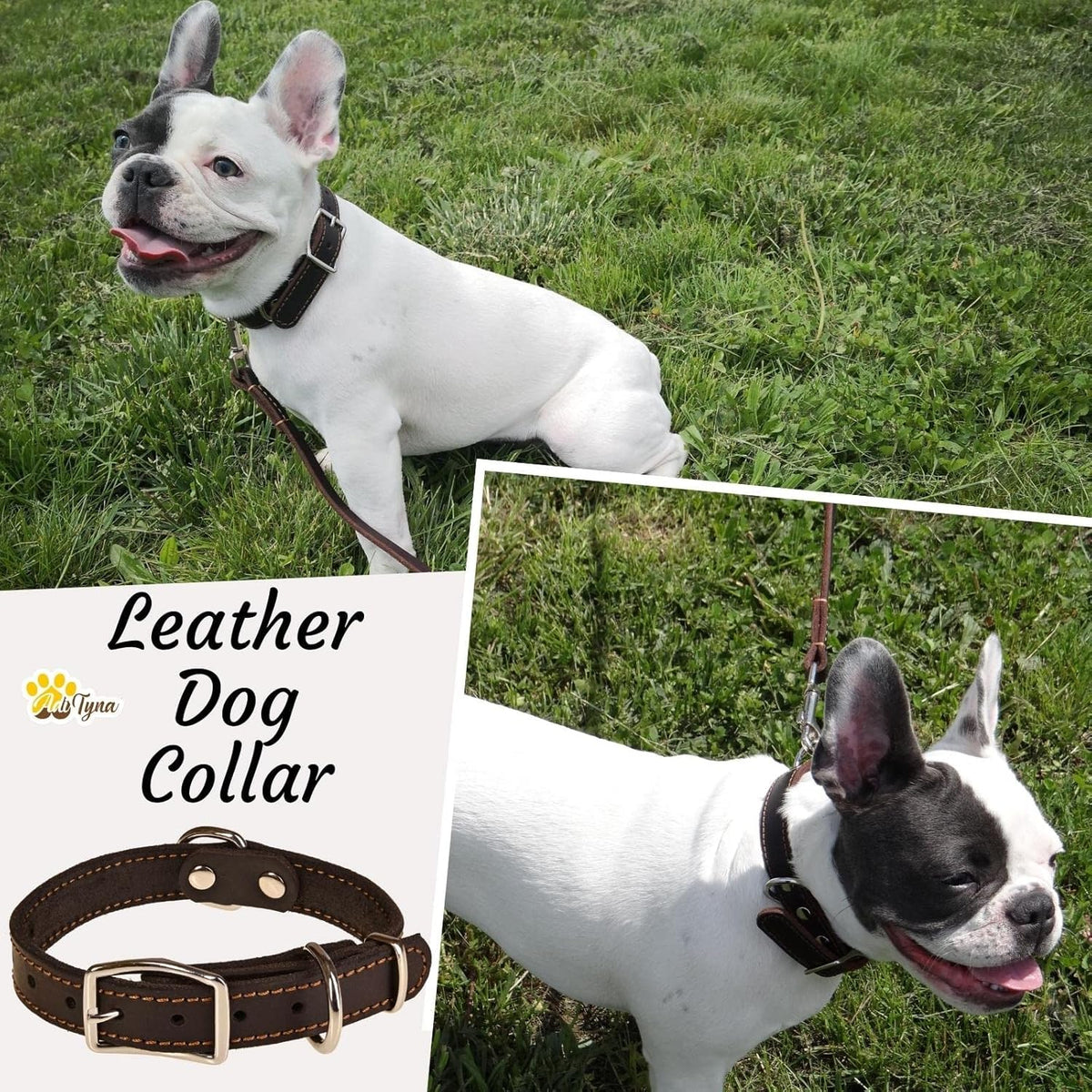 ADITYNA Heavy-Duty Leather Dog Collar for Medium Dogs - Soft and Strong, 100% Genuine Leather - Collier Pour Chien (Medium: Fit 13" - 20" Neck, Brown) - PuriLite