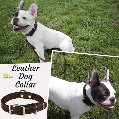 ADITYNA Heavy-Duty Leather Dog Collar for Medium Dogs - Soft and Strong, 100% Genuine Leather - Collier Pour Chien (Medium: Fit 13" - 20" Neck, Brown) - PuriLite