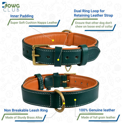 DowgClub | Genuine Leather Dog Collar | Full Grain, Heavy Duty | Comfortable, Strong | Best for Pups, Small, Medium & Large Breeds | Pink, Brown, Black, Tan - PuriLite