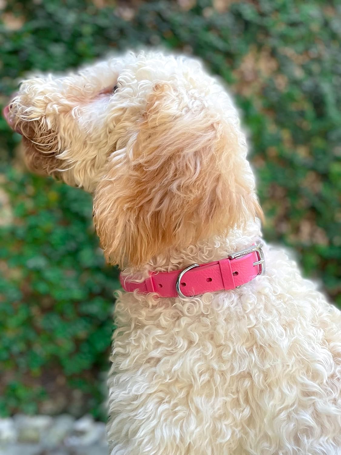 Tuff Pupper Classic Heavy Duty Dog Collar | 10x Stronger Than Leather | 100% Waterproof & Odor Proof Dog Collar | Tough Rust-Proof All Metal Hardware - PuriLite