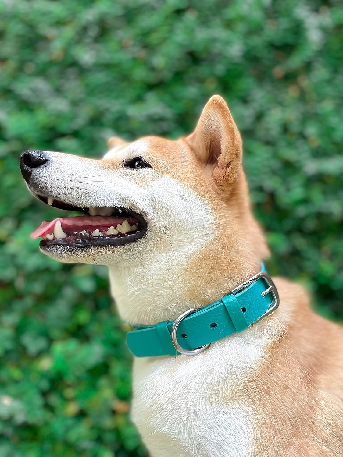 Tuff Pupper Classic Heavy Duty Dog Collar | 10x Stronger Than Leather | 100% Waterproof & Odor Proof Dog Collar | Tough Rust-Proof All Metal Hardware - PuriLite