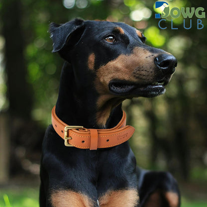 DowgClub | Genuine Leather Dog Collar | Full Grain, Heavy Duty | Comfortable, Strong | Best for Pups, Small, Medium & Large Breeds | Pink, Brown, Black, Tan - PuriLite