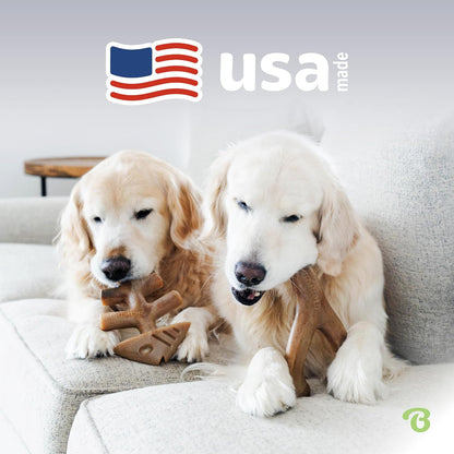 Benebone 4-Pack Durable Dog Chew Toys for Aggressive Chewers, Real Flavors, Made in USA, Medium - PuriLite