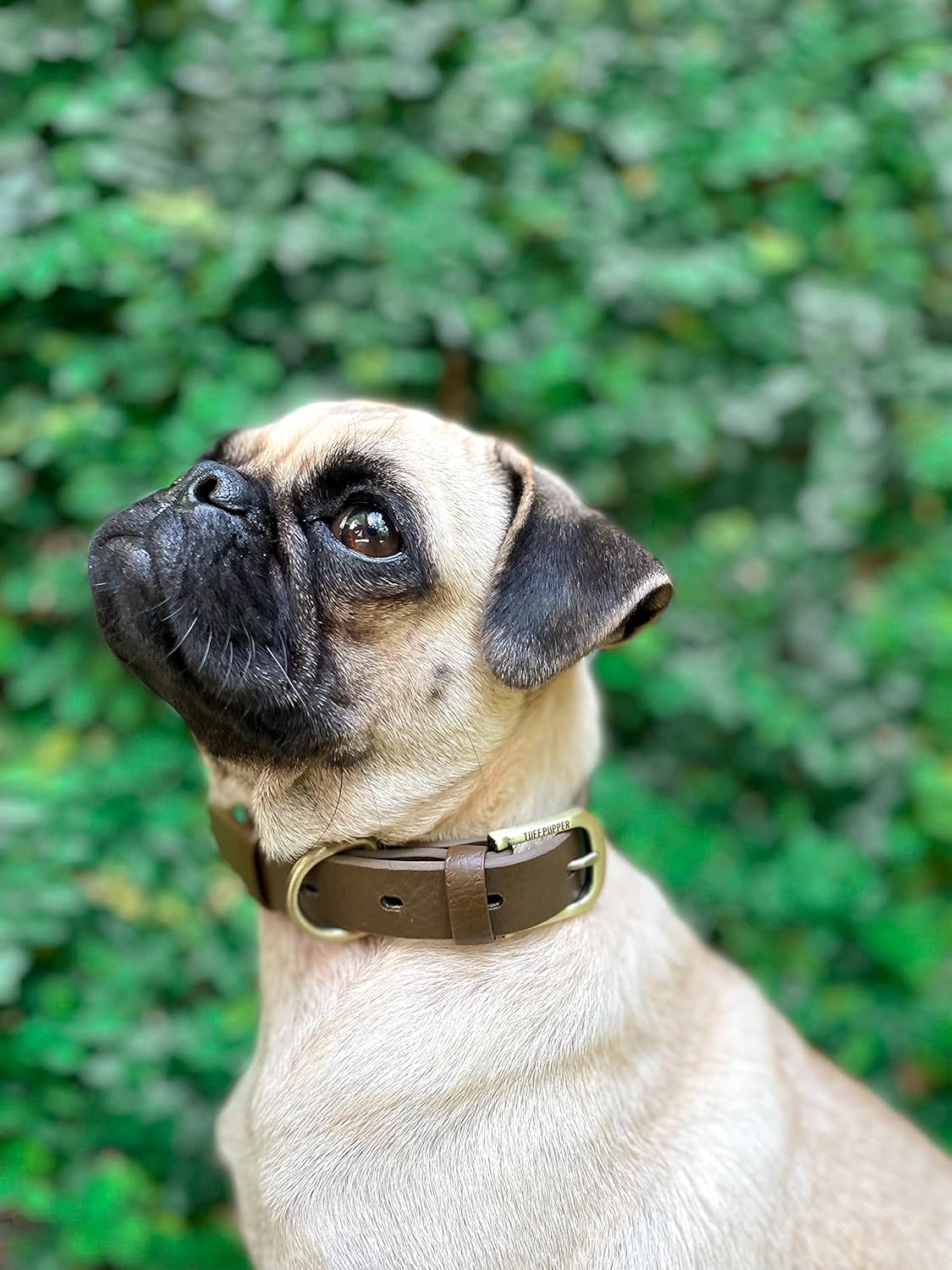 Tuff Pupper Classic Heavy Duty Dog Collar | 10x Stronger Than Leather | 100% Waterproof & Odor Proof Dog Collar | Tough Rust-Proof All Metal Hardware - PuriLite