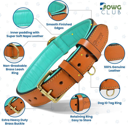 DowgClub | Genuine Leather Dog Collar | Full Grain, Heavy Duty | Comfortable, Strong | Best for Pups, Small, Medium & Large Breeds | Pink, Brown, Black, Tan - PuriLite