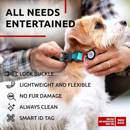 Waterproof Dog Collar - Adjustable Glow Dog Collar for Large Dogs, Small and Medium Dogs - Heavy Duty Dog Collars with Durable Metal Clasp and QR Dog Tag - Glow in The Dark Dog Collars - PuriLite