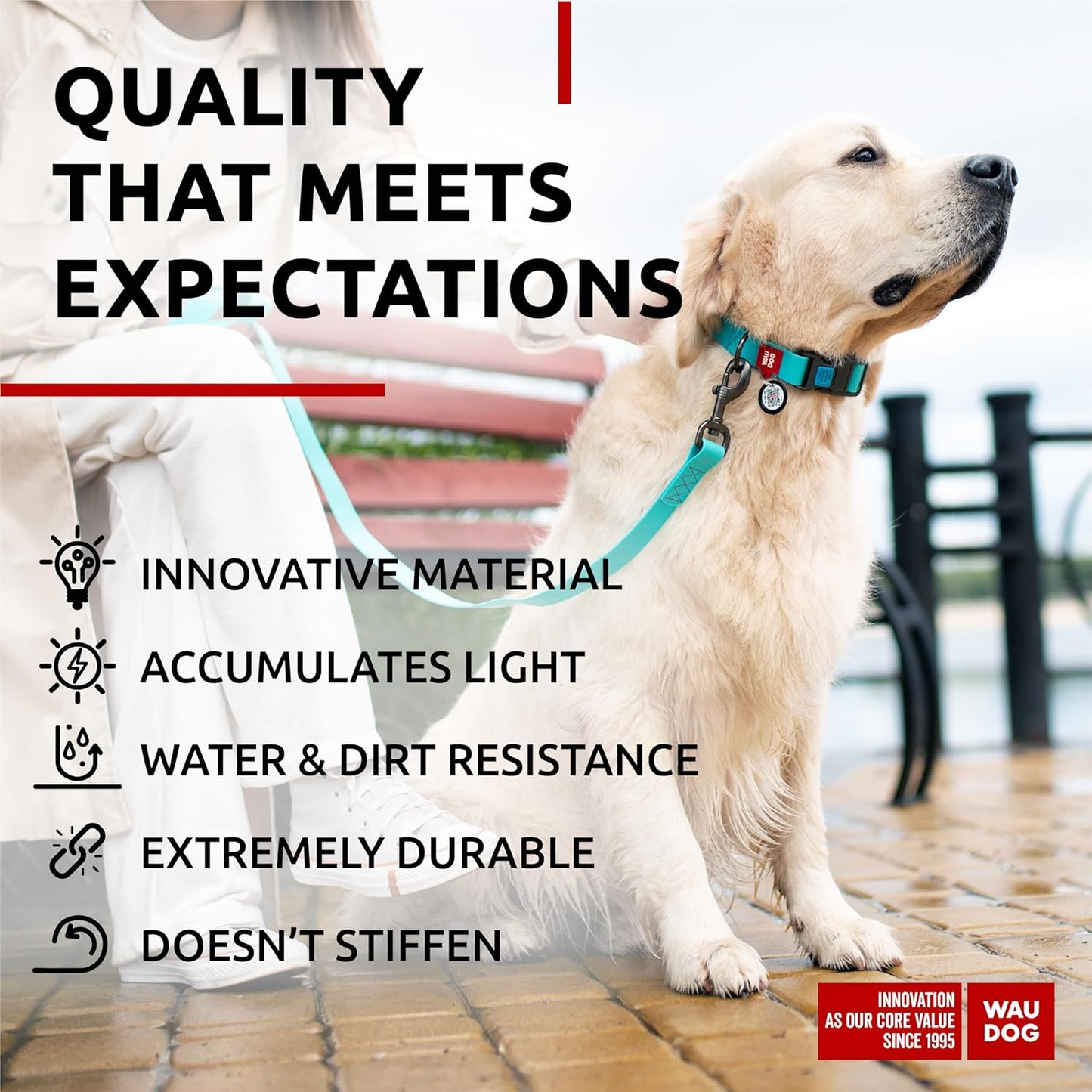 Waterproof Dog Collar - Adjustable Glow Dog Collar for Large Dogs, Small and Medium Dogs - Heavy Duty Dog Collars with Durable Metal Clasp and QR Dog Tag - Glow in The Dark Dog Collars - PuriLite