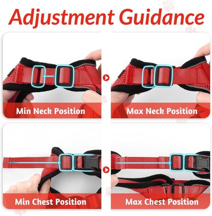rabbitgoo Cat Harness and Leash for Walking, Escape Proof Soft Adjustable Vest Harnesses for Small Medium Cats, Easy Control Breathable Reflective Strips Jacket, XS, Black - PuriLite
