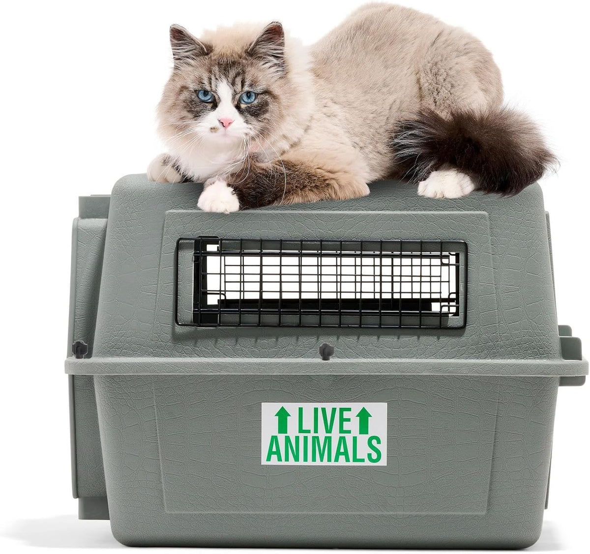 Petmate 00200 Sky Kennel for Pets from 25 to 30-Pound, Light Gray - PuriLite