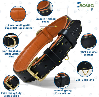 DowgClub | Genuine Leather Dog Collar | Full Grain, Heavy Duty | Comfortable, Strong | Best for Pups, Small, Medium & Large Breeds | Pink, Brown, Black, Tan - PuriLite