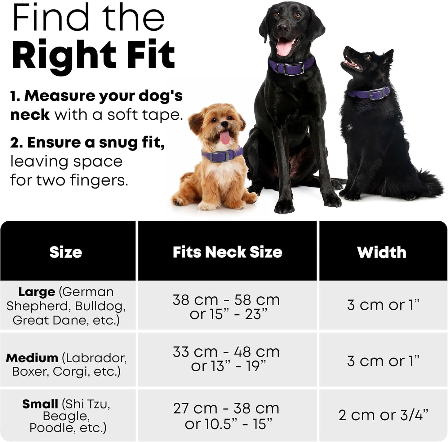 Regal Dog Products Medium Black Waterproof Dog Collar with Gold Buckle, Resilient and Durable Materials, Comfortable Design - for Small, Medium, and Large Breed Dogs - PuriLite