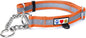 Pawtitas Chain Martingale Dog Collar Puppy Collar Reflective Dog Collar Training Dog Collar Behavioral Dog Chain Collar Collar Large Dog Collar Orange Dog Collar - PuriLite