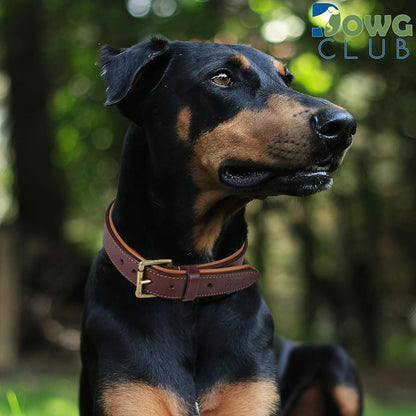 DowgClub | Genuine Leather Dog Collar | Full Grain, Heavy Duty | Comfortable, Strong | Best for Pups, Small, Medium & Large Breeds | Pink, Brown, Black, Tan - PuriLite