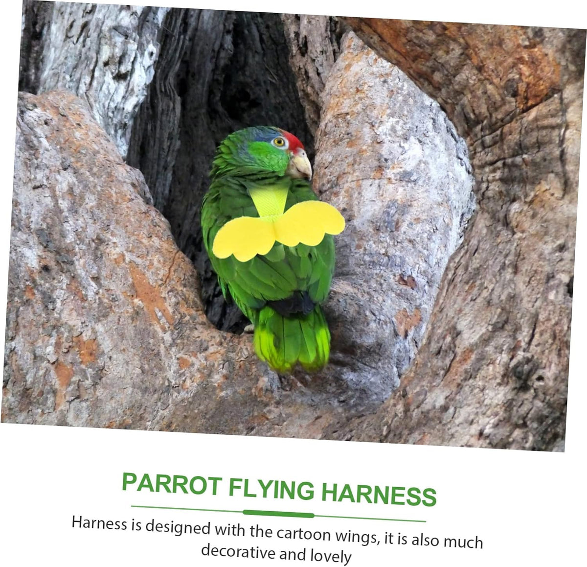 BESPORTBLE 4pcs Bird Training Rope Parrot Harness Leash Pet Bird Fly Train Supply for Small Conure