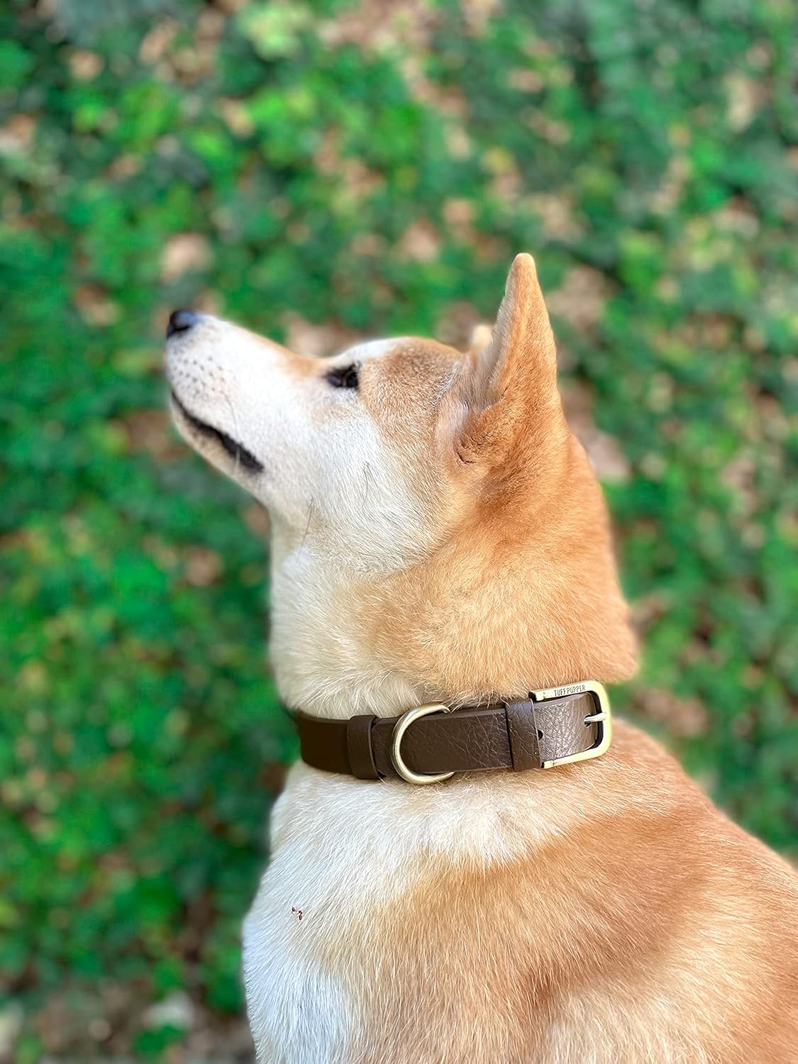 Tuff Pupper Classic Heavy Duty Dog Collar | 10x Stronger Than Leather | 100% Waterproof & Odor Proof Dog Collar | Tough Rust-Proof All Metal Hardware - PuriLite
