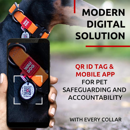 Waterproof Dog Collar - Adjustable Glow Dog Collar for Large Dogs, Small and Medium Dogs - Heavy Duty Dog Collars with Durable Metal Clasp and QR Dog Tag - Glow in The Dark Dog Collars - PuriLite