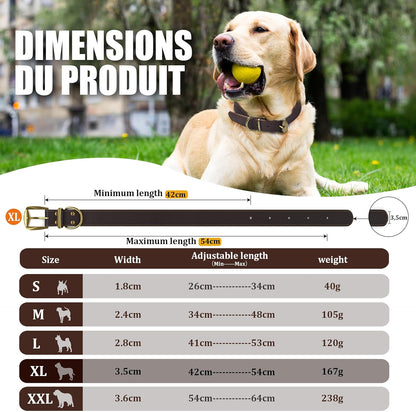QRDA Leather Dog Collar Brown Dog Training Collar Heavy Duty Premium Leather Dog Collar Dog Collars for Medium/Large Dogs - PuriLite