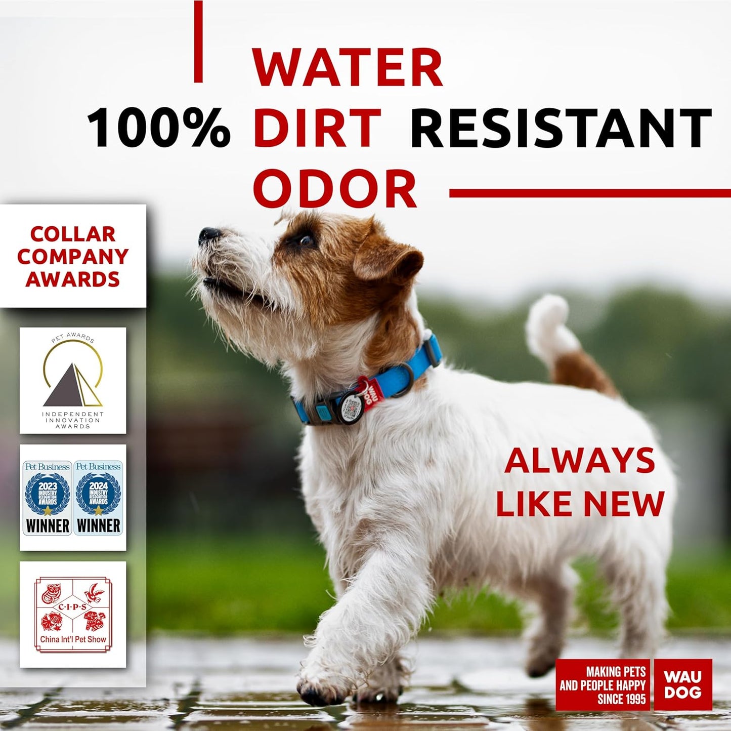 Waterproof Dog Collar - Adjustable Glow Dog Collar for Large Dogs, Small and Medium Dogs - Heavy Duty Dog Collars with Durable Metal Clasp and QR Dog Tag - Glow in The Dark Dog Collars - PuriLite
