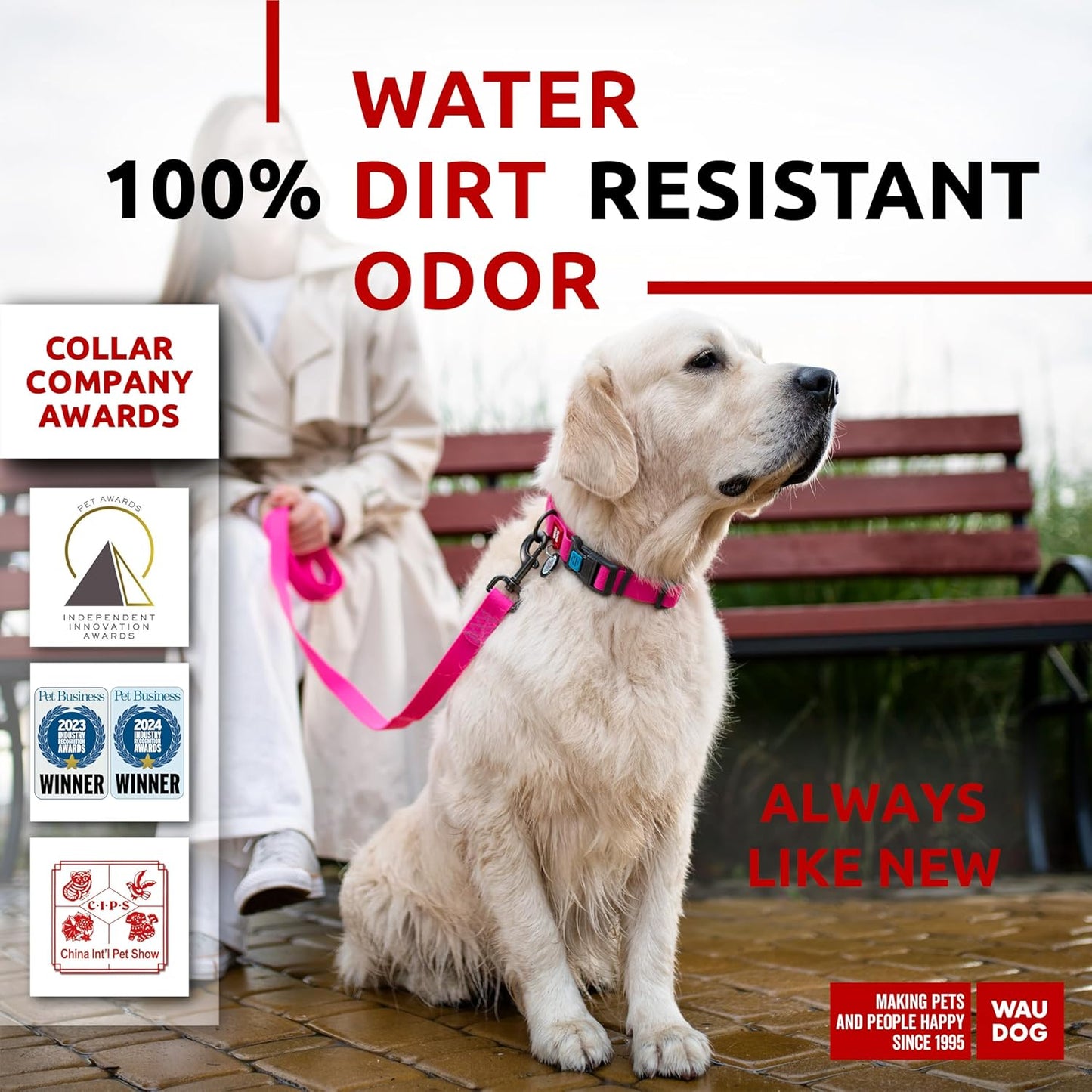 Waterproof Dog Collar - Adjustable Glow Dog Collar for Large Dogs, Small and Medium Dogs - Heavy Duty Dog Collars with Durable Metal Clasp and QR Dog Tag - Glow in The Dark Dog Collars - PuriLite