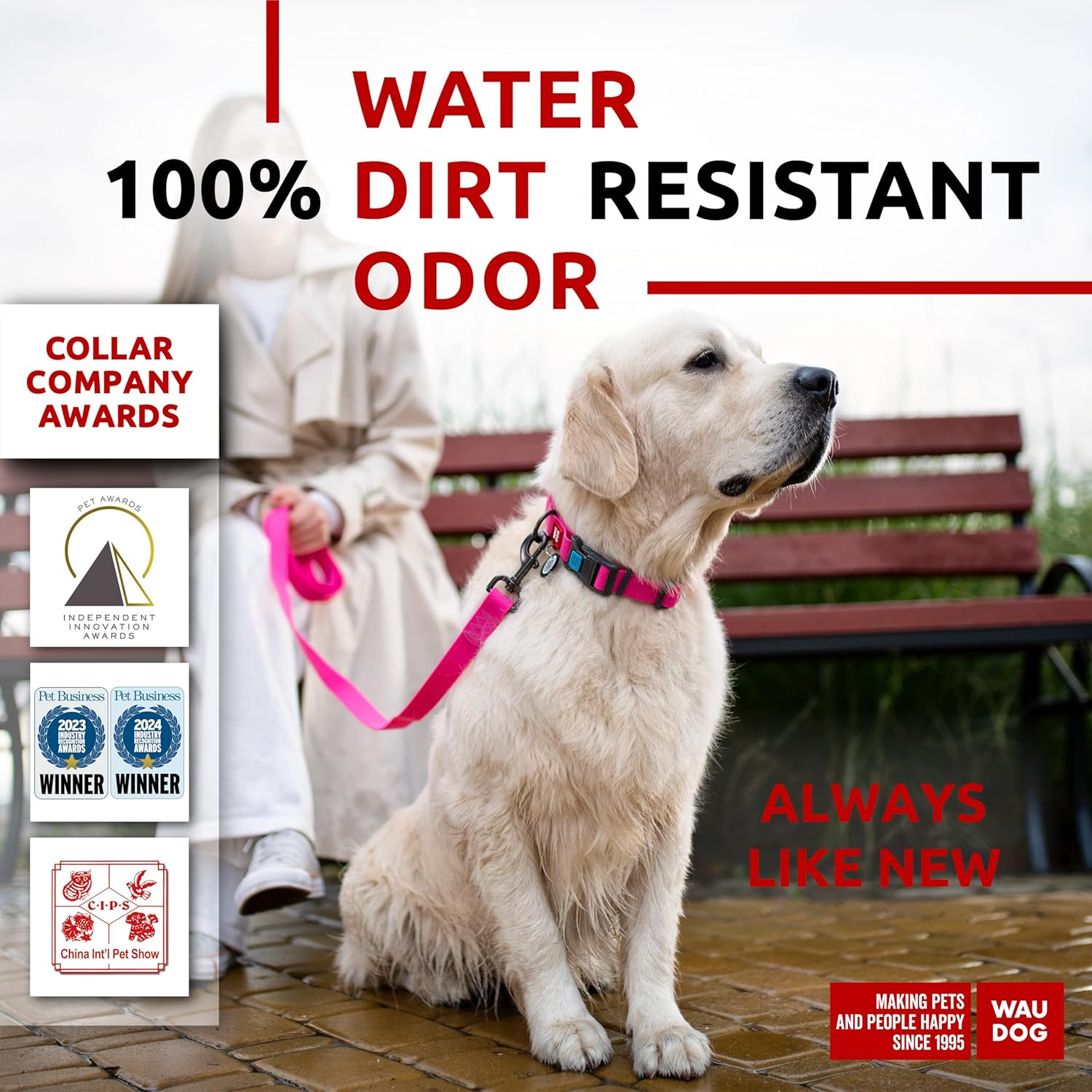 Waterproof Dog Collar - Adjustable Glow Dog Collar for Large Dogs, Small and Medium Dogs - Heavy Duty Dog Collars with Durable Metal Clasp and QR Dog Tag - Glow in The Dark Dog Collars - PuriLite