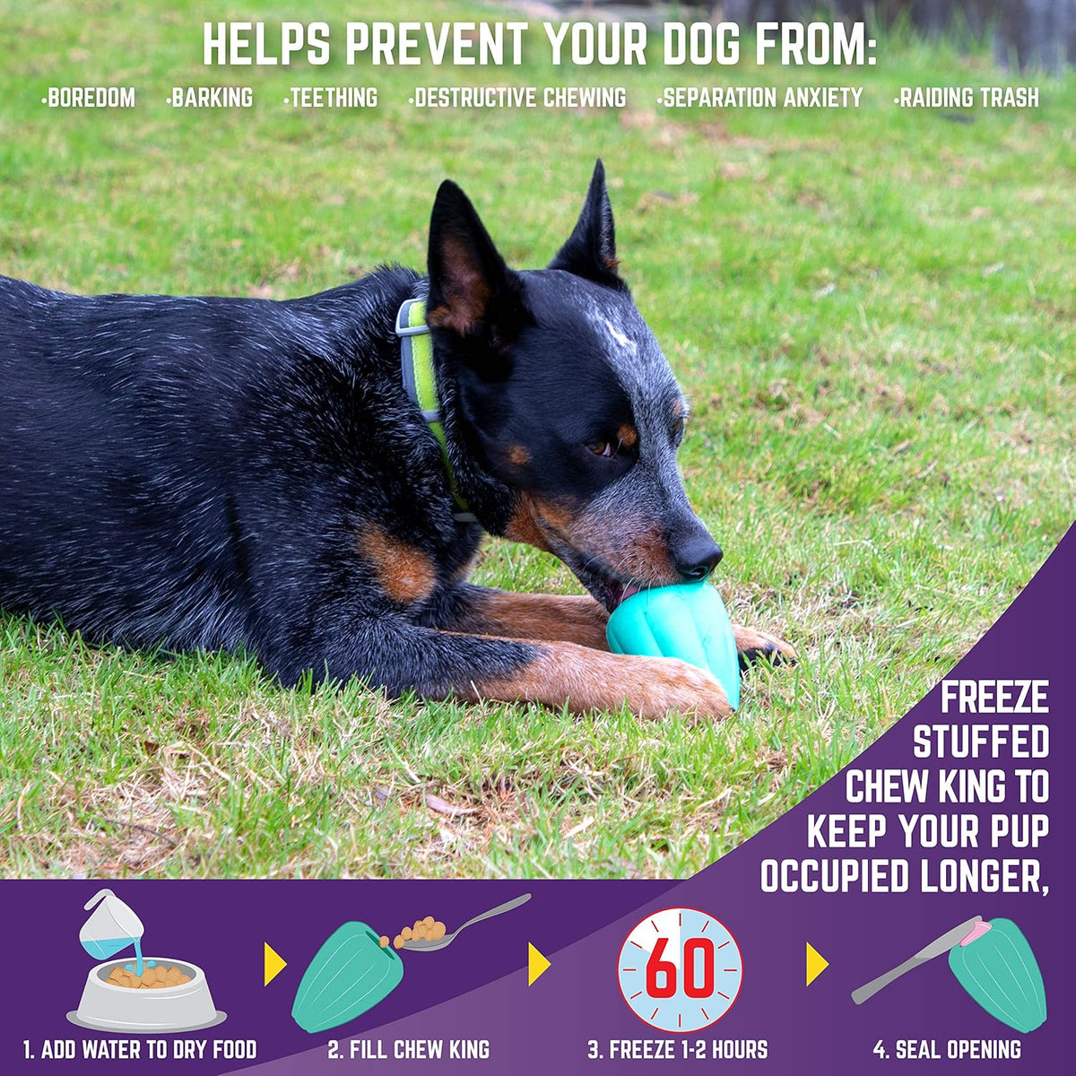 Chew King Premium Treat Dog Toy, L, Extremely Durable Natural Rubber Toy, Pack of 2 - PuriLite