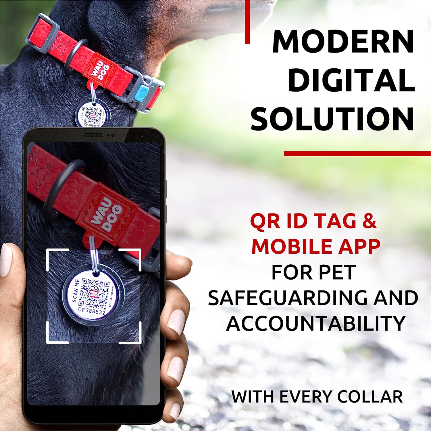 Waterproof Dog Collar - Adjustable Glow Dog Collar for Large Dogs, Small and Medium Dogs - Heavy Duty Dog Collars with Durable Metal Clasp and QR Dog Tag - Glow in The Dark Dog Collars - PuriLite