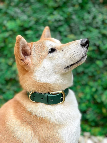Tuff Pupper Classic Heavy Duty Dog Collar | 10x Stronger Than Leather | 100% Waterproof & Odor Proof Dog Collar | Tough Rust-Proof All Metal Hardware - PuriLite
