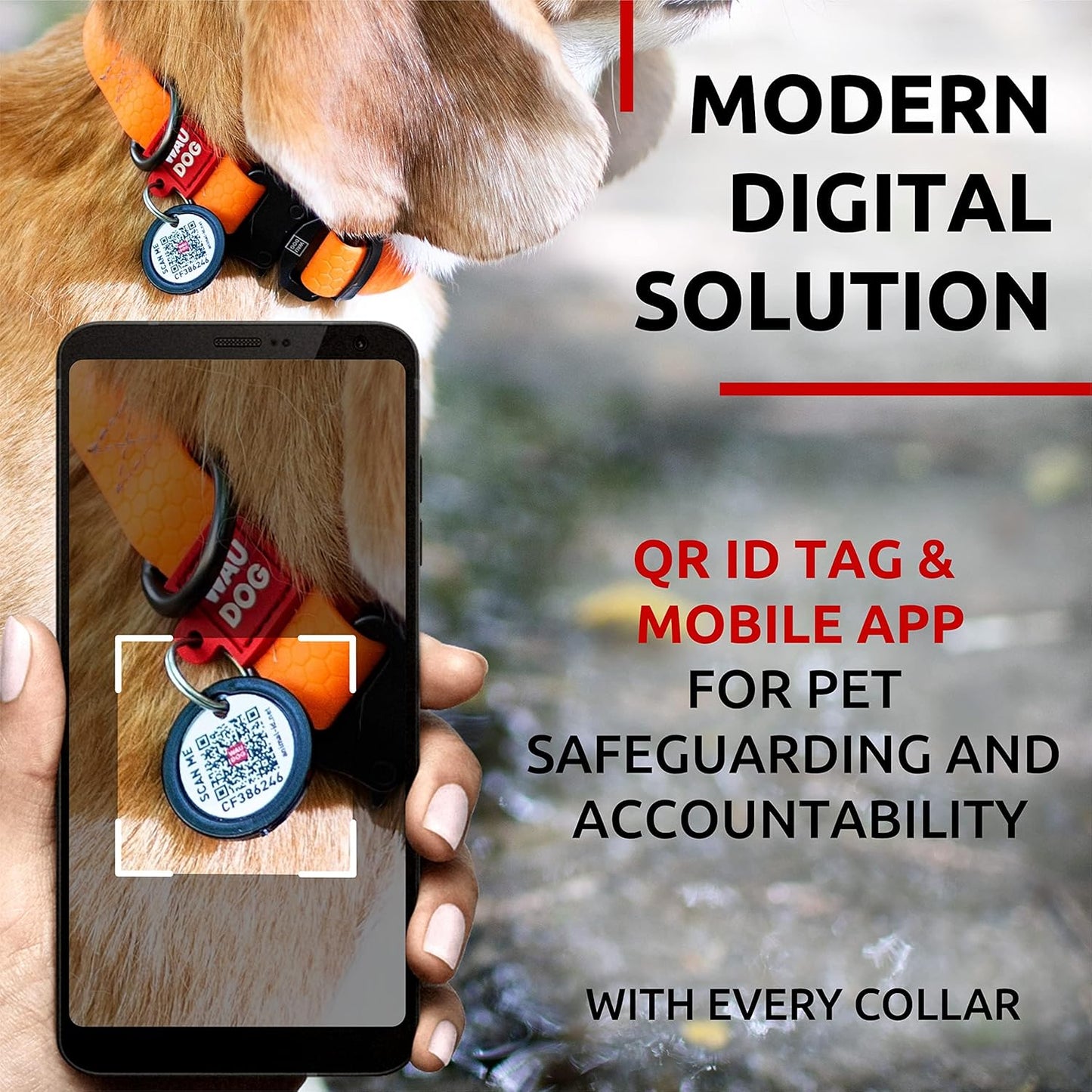 Waterproof Dog Collar - Adjustable Glow Dog Collar for Large Dogs, Small and Medium Dogs - Heavy Duty Dog Collars with Durable Metal Clasp and QR Dog Tag - Glow in The Dark Dog Collars - PuriLite