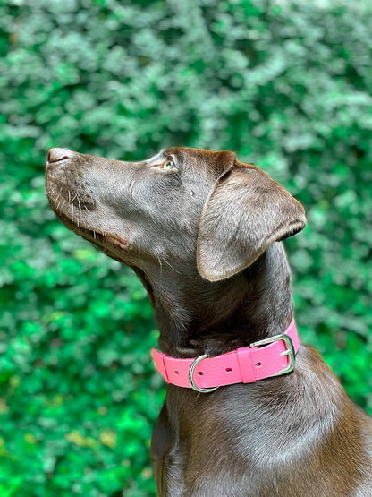 Tuff Pupper Classic Heavy Duty Dog Collar | 10x Stronger Than Leather | 100% Waterproof & Odor Proof Dog Collar | Tough Rust-Proof All Metal Hardware - PuriLite