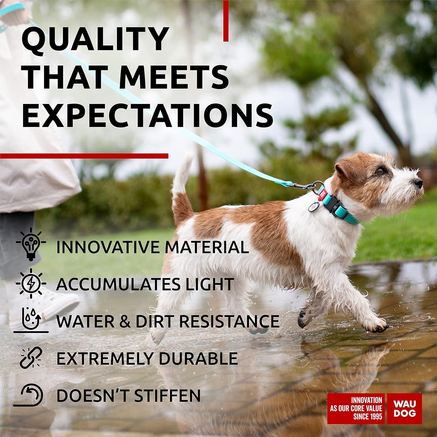 Waterproof Dog Collar - Adjustable Glow Dog Collar for Large Dogs, Small and Medium Dogs - Heavy Duty Dog Collars with Durable Metal Clasp and QR Dog Tag - Glow in The Dark Dog Collars - PuriLite