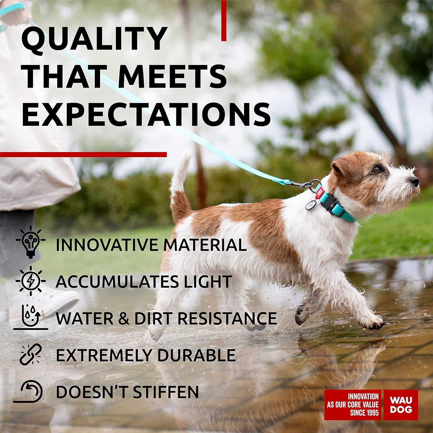 Waterproof Dog Collar - Adjustable Glow Dog Collar for Large Dogs, Small and Medium Dogs - Heavy Duty Dog Collars with Durable Metal Clasp and QR Dog Tag - Glow in The Dark Dog Collars - PuriLite