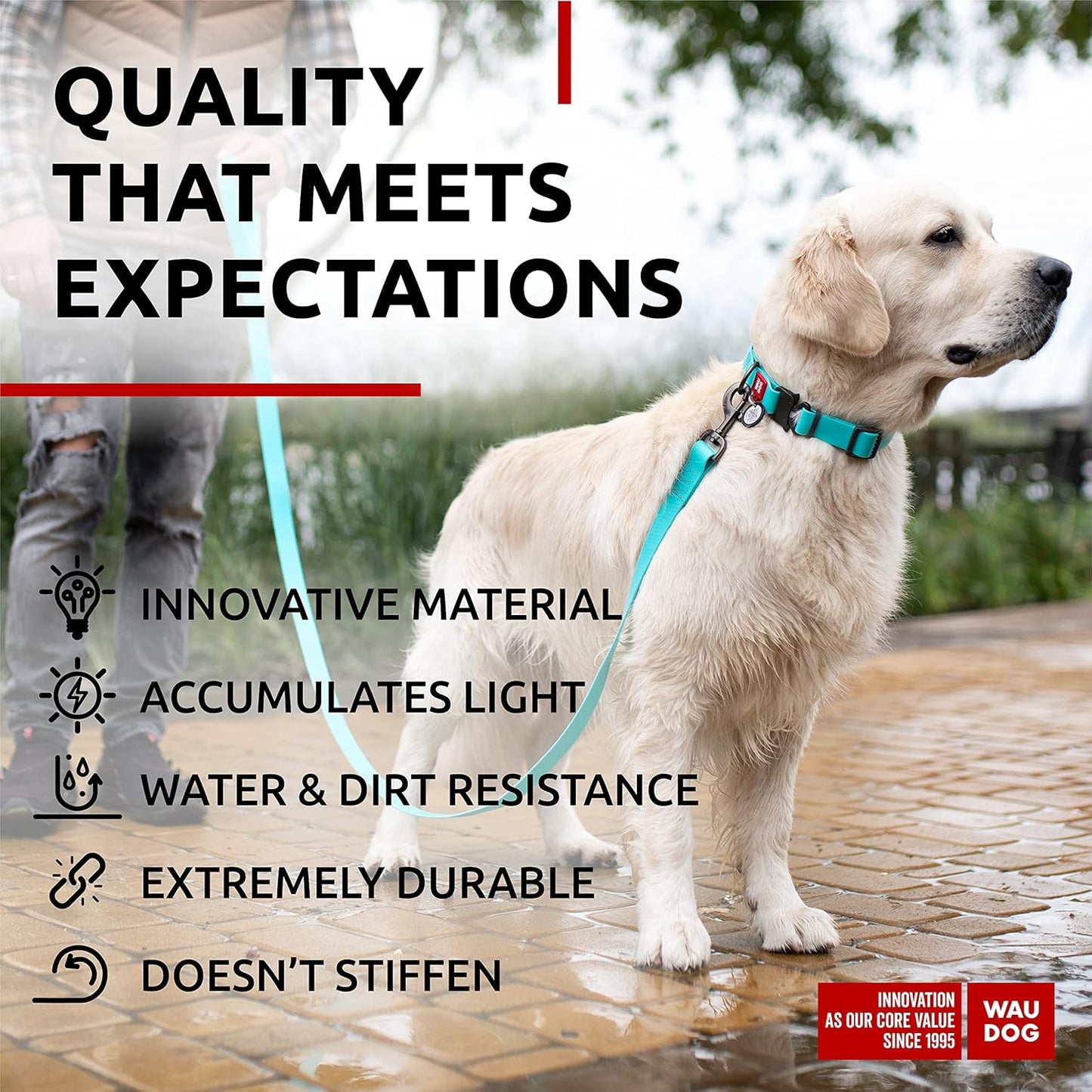 Waterproof Dog Collar - Adjustable Glow Dog Collar for Large Dogs, Small and Medium Dogs - Heavy Duty Dog Collars with Durable Metal Clasp and QR Dog Tag - Glow in The Dark Dog Collars - PuriLite