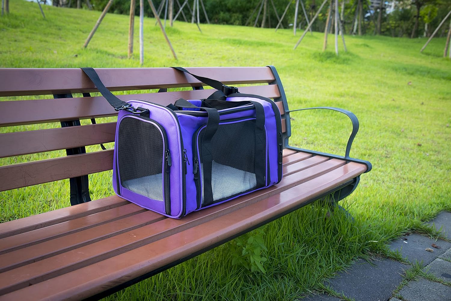 NextFri Soft Sided Carrier for Cats Dogs,TSA Airline Approved Collapsible Travel Pet Carrier (Magenta, Medium) - PuriLite