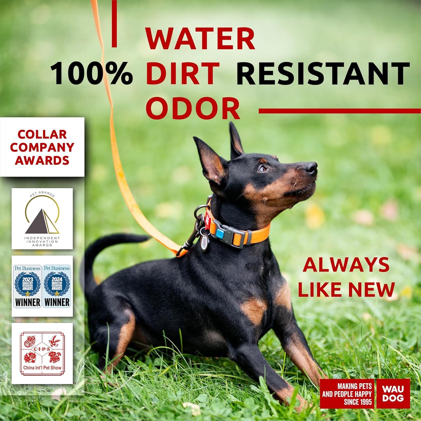 Waterproof Dog Collar - Adjustable Glow Dog Collar for Large Dogs, Small and Medium Dogs - Heavy Duty Dog Collars with Durable Metal Clasp and QR Dog Tag - Glow in The Dark Dog Collars - PuriLite