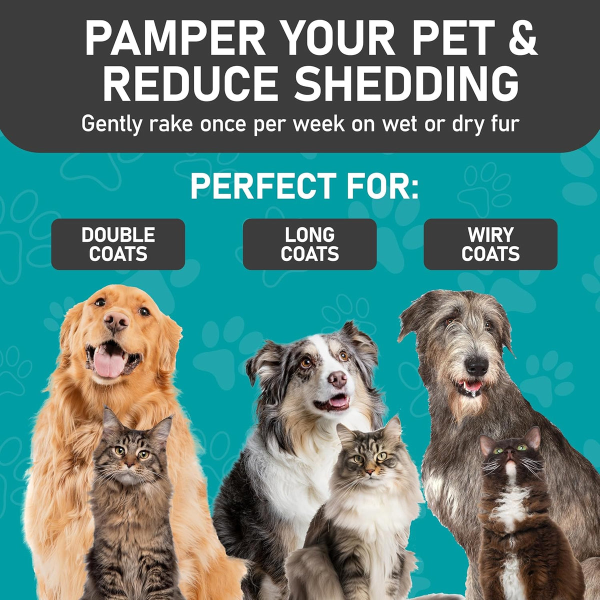 Maxpower Planet Pet Grooming Brush - Double Sided Shedding, Dematting - Undercoat Rake for Dogs - Dog Grooming Brush - Deshedding Brush for Dogs - Dog Brush, Cat Brush, Reduce Shedding by 95%, Black - PuriLite