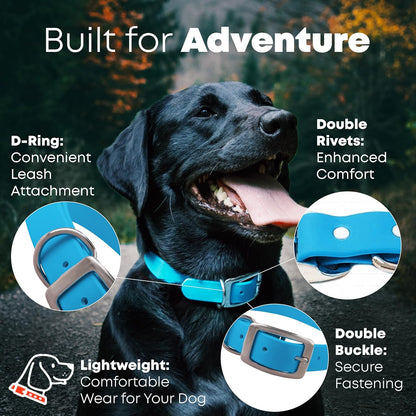 Regal Dog Products Medium Black Waterproof Dog Collar with Gold Buckle, Resilient and Durable Materials, Comfortable Design - for Small, Medium, and Large Breed Dogs - PuriLite