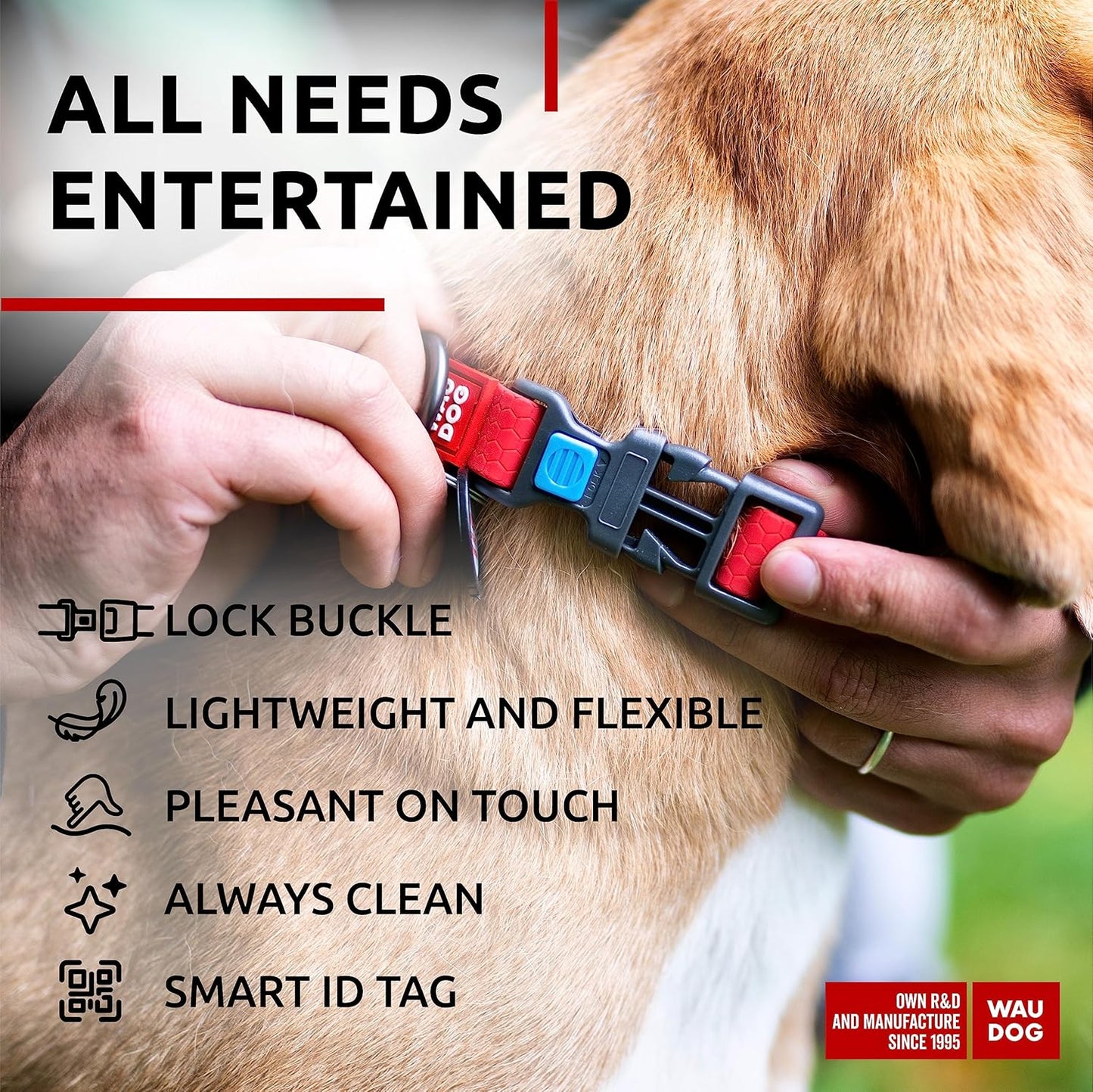 Waterproof Dog Collar - Adjustable Glow Dog Collar for Large Dogs, Small and Medium Dogs - Heavy Duty Dog Collars with Durable Metal Clasp and QR Dog Tag - Glow in The Dark Dog Collars - PuriLite