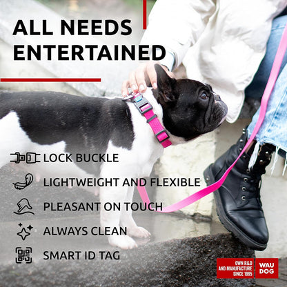 Waterproof Dog Collar - Adjustable Glow Dog Collar for Large Dogs, Small and Medium Dogs - Heavy Duty Dog Collars with Durable Metal Clasp and QR Dog Tag - Glow in The Dark Dog Collars - PuriLite
